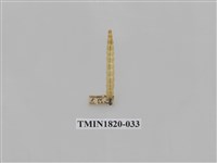 藏品(蔬菜害蟲)的圖片